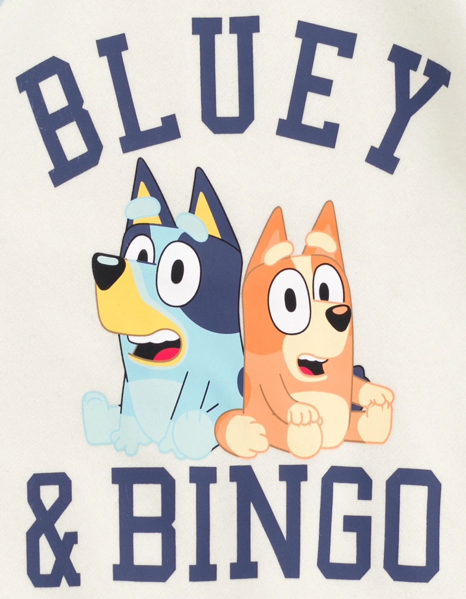 Bluey Fleece Sweatshirt and Jogger Pants Outfit Set Toddler to Big Kid