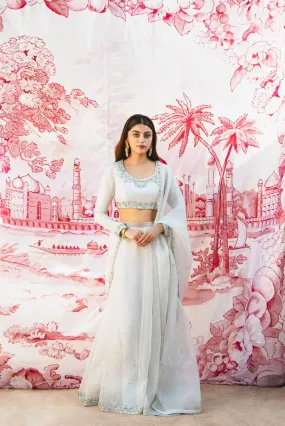Sehar Grey Sharara set